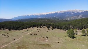 created by dji camera