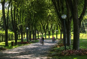 Hüseyin Can - botanik park ve çocuk - 45082397