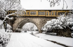 Ragıp YOLDAŞ - Irgandı