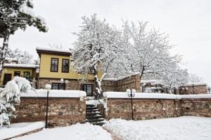SUMBULLU BAHCE (1)
