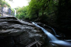 SUUCTU SELALESI (3)