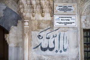 IMG_7816-ps