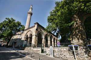 ORHAN CAMII (1)