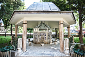 ORHAN CAMII (2)
