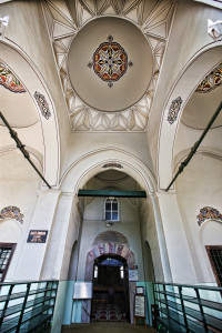 ORHAN CAMII (3)