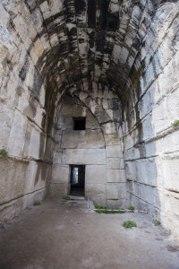 IMG_7826-ps