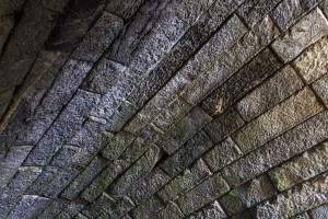 IMG_7841-ps