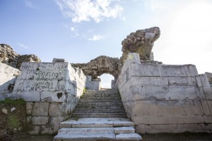 IMG_7849-ps