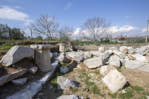 IMG_7851-ps
