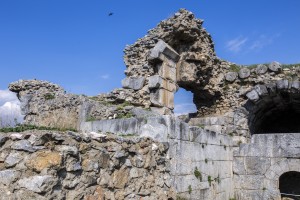 IMG_7854-ps