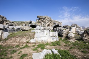 IMG_7859-ps