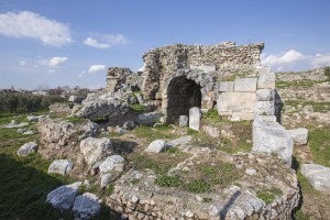 IMG_7863-ps