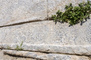 IMG_7872-ps