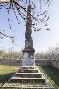 IMG_7893-ps