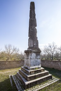 IMG_7895-ps