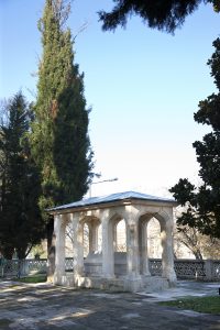 NLY_2259-ps