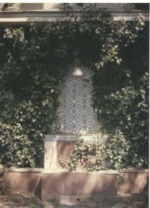 Bay Konutu Bahce A.Leon 1913
