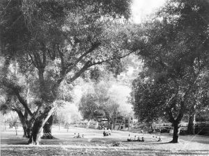 BeledPapazyan1901