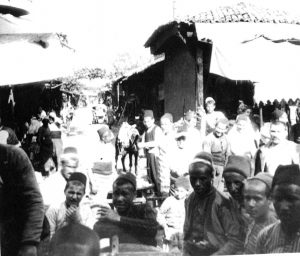 CARSI_6_ANM 1905 3