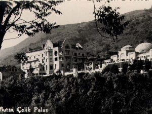 CelikP