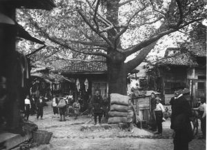 FirKonBekCar Cilliere1909