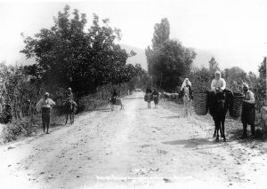 GEMYOLUTURKTUCS_J1894