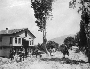 GemYolu1894