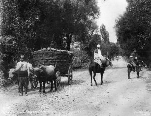 GemlikYoluNDAS&J1894