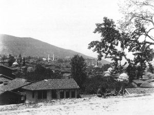Genel Gorun.S&J 1894