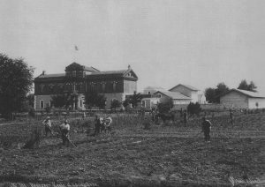 HamZirOkS&J1894