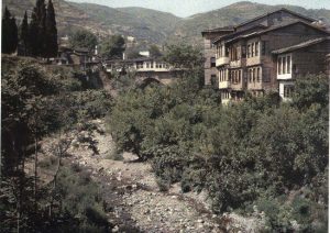 Irgandi K. Kuzey.A.Leon 1913