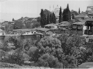 Irgandi kop Berggren1880
