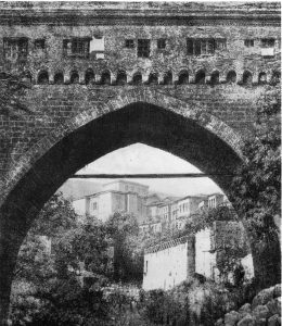 Irgandi kop Tremaux1854