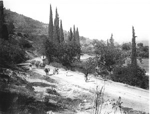 KUKURTLUKAPYOLUAFRERES1890C