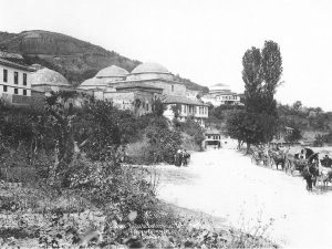 Kaplicalarin Gorunum.S&J 1894
