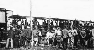 MUDANBURSA_TIRENIANM41894