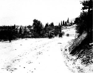 MURADIYECDANM1895_C