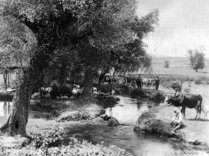 MudYolGecitS&J1894
