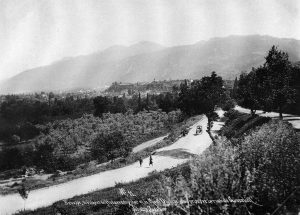 OlymS&J1894