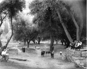 PINARBASI_AFRERES_1890
