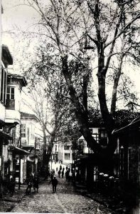 Setbasi