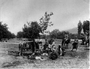 TucArabacS&J1894