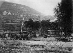 VarisS&J1894
