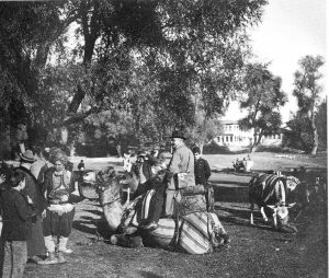 YABANCDEVEUSTANM1898