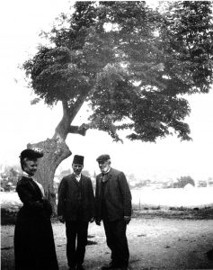 YESIL_CTERASI_ANM_1900