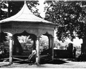 YesilSadBerggren1880