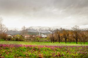 Değdibi