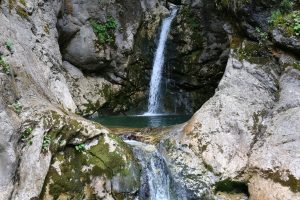 IMG_2881