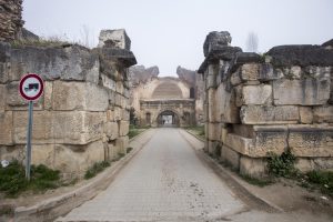 IZNIK ISTANBUL KAPI MART 2017 (3)