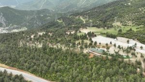 Kule Orman Park Mesire Alanı (1)